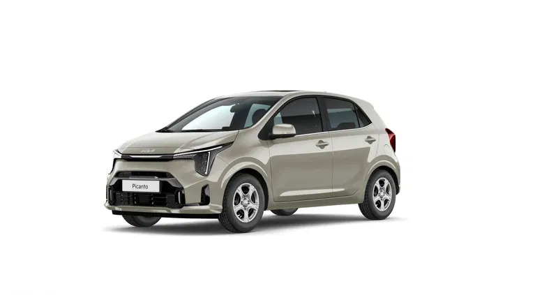 kia picanto opolskie Kia Picanto cena 65706 przebieg: 10, rok produkcji 2024 z Zbąszyń